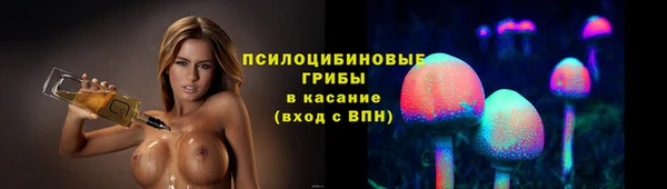МДПВ Верея