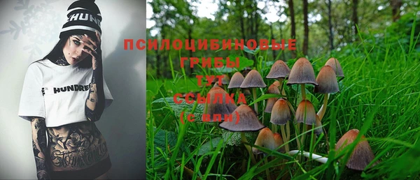 МДПВ Верея