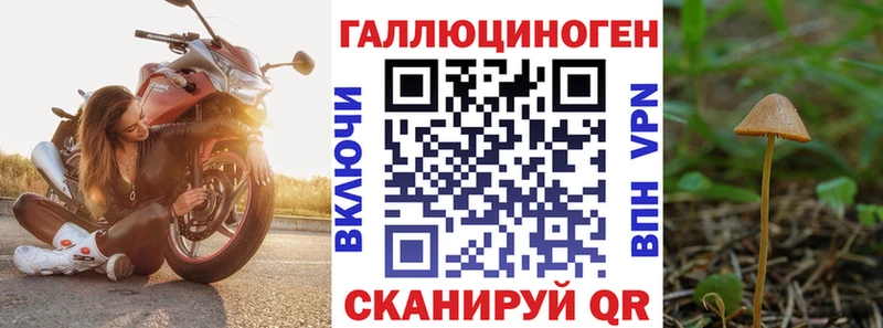 Купить  Козловка  Галлюциногенные грибы Magic Shrooms 