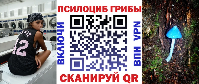 Галлюциногенные грибы MAGIC MUSHROOMS Козловка
